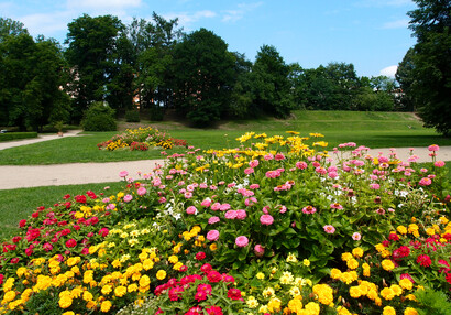 Zámecký park v létě